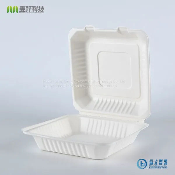 PFAS FREE Disposable Biodegradable 9*9 Take Away Sugarcane Bagasse Clamshell Container photo-3