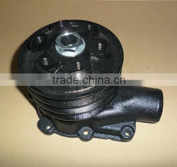 Engineering Vehicle Parts Water Pump R200-5 21000-93G00