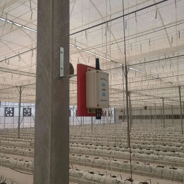 Indoor and Outdoor Iot LoRa Wireless Temperature and Humidity Sensor for Farming Warehouse Greenhouse Use photo-3