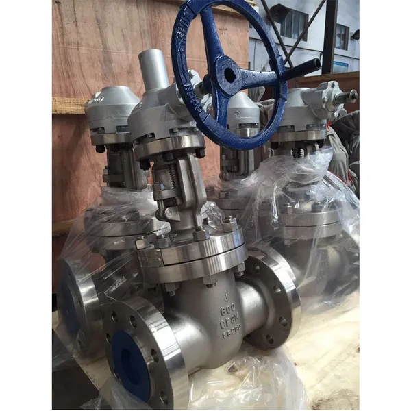 ANSI Standard 316L Stainless Steel Flanged Gate Valve photo-3