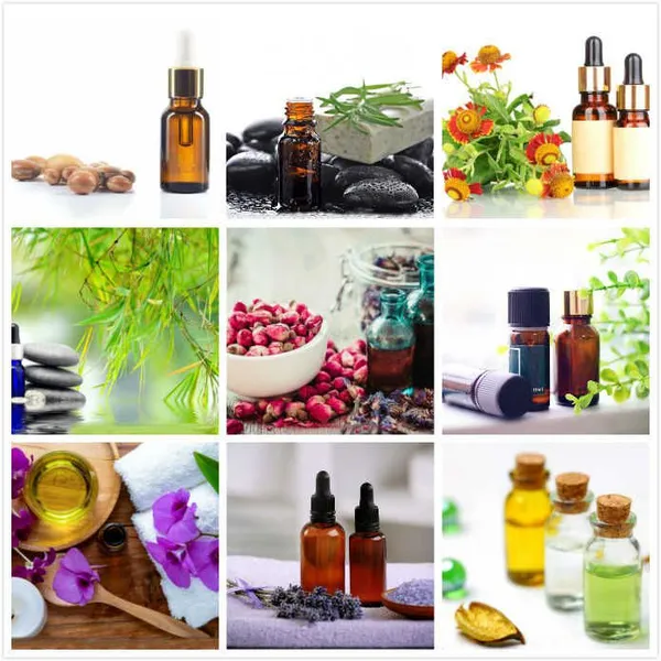 Industrial 100L - 500L Lavender Essential Oil Distiller Distillation Equipment photo-2