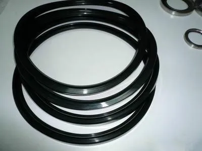Oil Seal photo-2