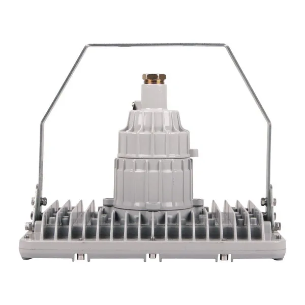 DGS80/127L(A) 20-80w Explosion-proof Laneway Lamp, Flameproof Tunnel Lamp photo-2