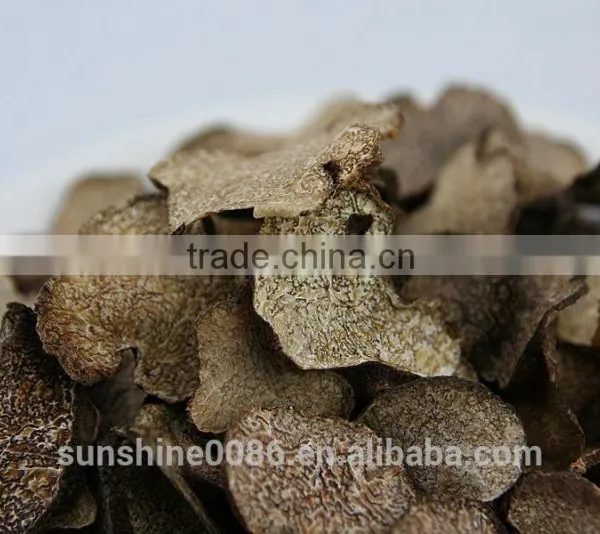 Dried Truffle Mushroom (in Fungus) photo-2