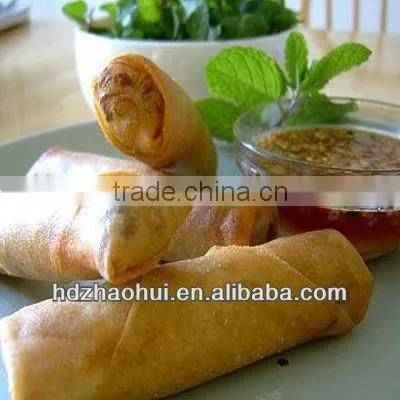 Frozen Spring Roll photo-4