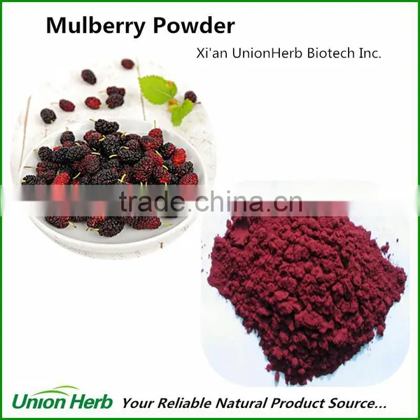 Organic Mulberry Powder Freeze Dried With Good Mulberry Fruit Powder Taste and Flavor