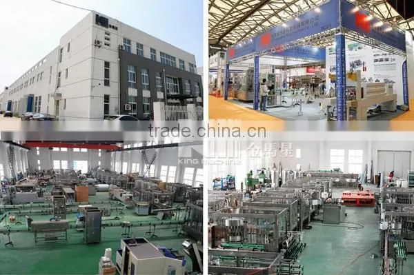 Automatic Milk Bottle Machine /extrusion Blow Molding Machine Quality Choice photo-6