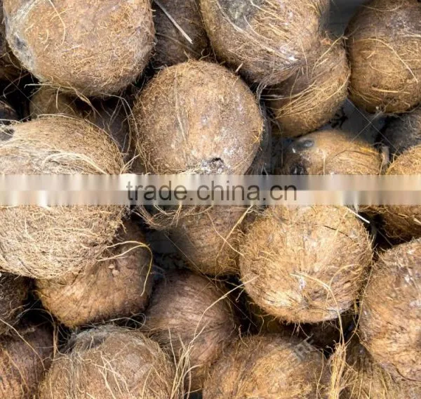 Fresh Coconut