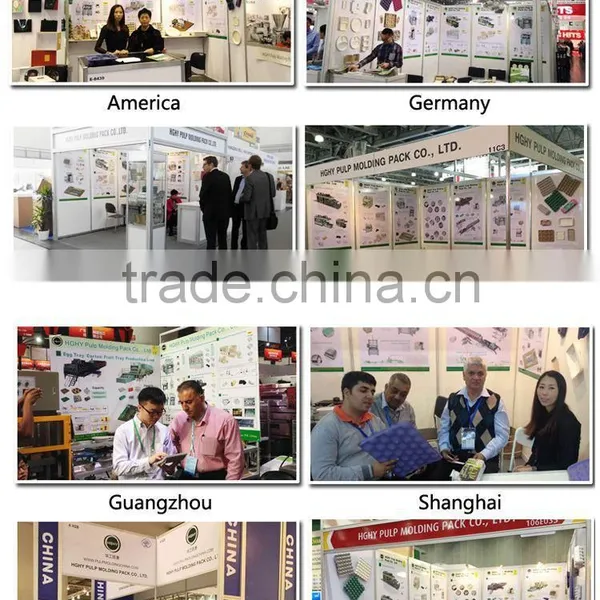 Biodegradable Paper Dish Pulp Molding Machine Price Interesting by HGHY photo-2