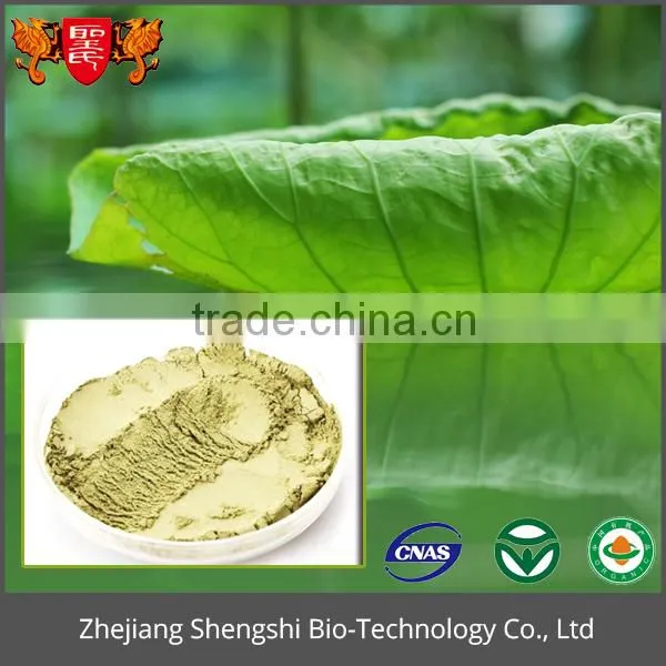 Wholesale Healthy Product Pure Natural Powder, Fresh Lotus Leaf Extract Powder photo-2