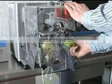 Automatic Apple Peeling and Slicing Machine photo-5