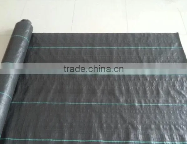 Anti Grass Netting/ground Cover for Ex-factory Price
