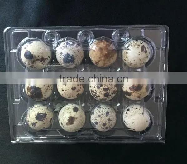 12 Holes Disposable Blister PVC Plastic Quail Egg Cartons for Egg Packaging