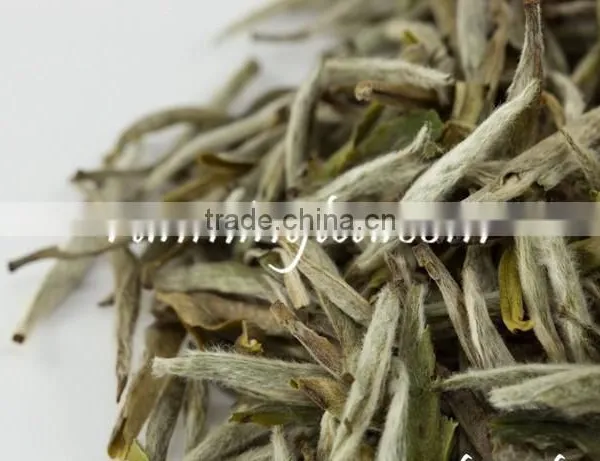 Premium Silver Needle White Tea