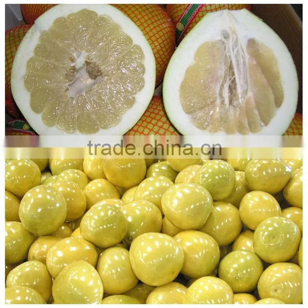 Pomelo Fruit for Pomelo Juice for Sale photo-4