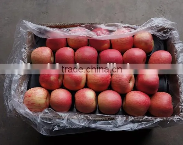 Fresh Apple photo-6