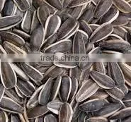 Chinese 5009 Sunflower Seeds photo-3