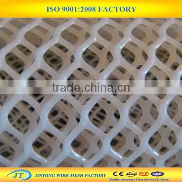 High Quality Plastic Mesh photo-3