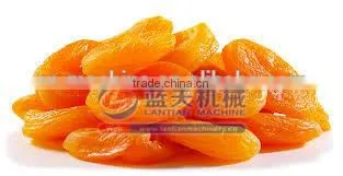 Wholesale Dehydration Of Mechanical Apple Dryer photo-4