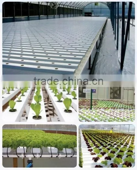 PVC Channel Greenhouse Hydroponic NFT 100x50mm photo-6