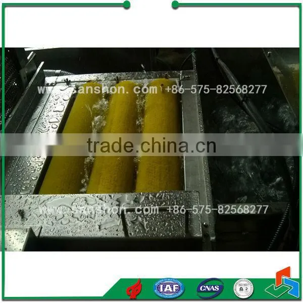 China Industry Fruit Washing Machine photo-4