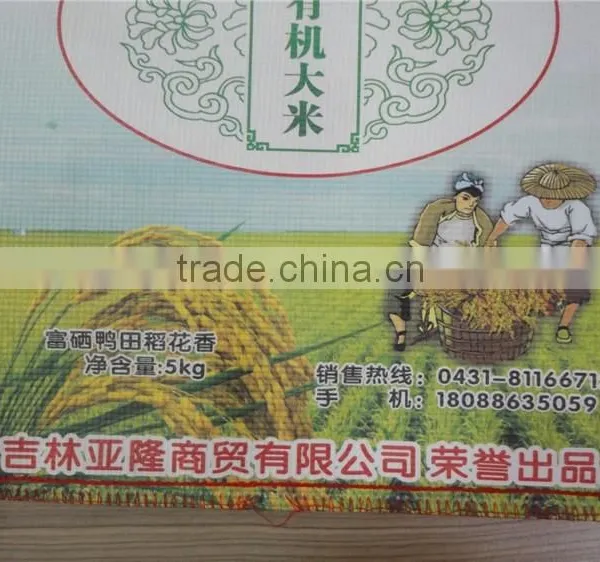 High Strength and Weight Capacity 25kg Kraft Paper Bags for Food photo-2