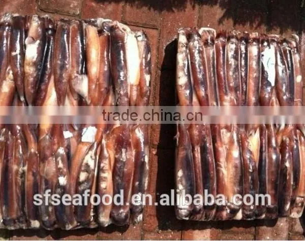 New Food Price of Illex Squid photo-3