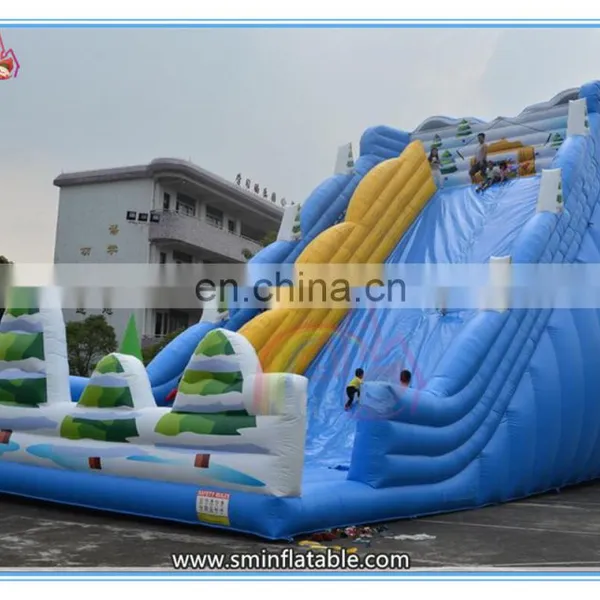 2016 New Outdoor Inflatable Slide for Kids,inflatable Amusement Park Slide,giant Inflatable Slide for Sale photo-2