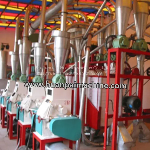 10-30TPD Small Industry Machine Small Size Factory Production Line Flour Milling Machine