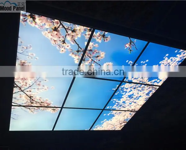 2015 Japanese Style Sakura Sky Ceiling Panel photo-4