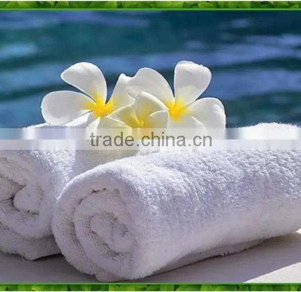 Hot Sell Towel Yarn photo-2