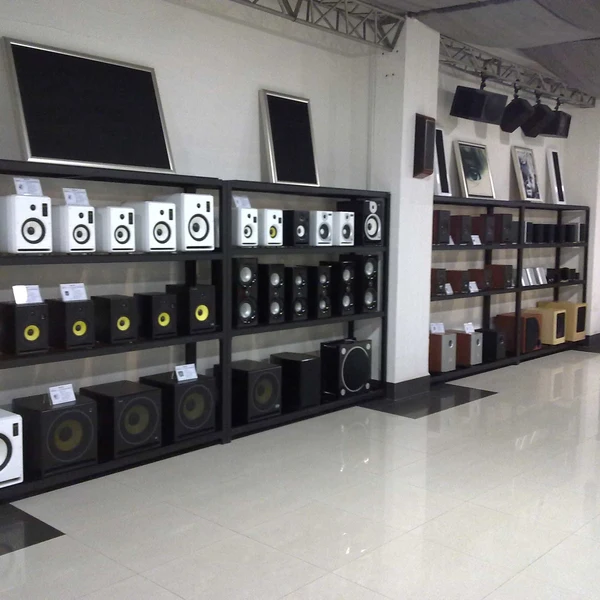 Rich Way Acoustic Manufacturing Co.,Ltd company overview - view 3