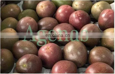 PASSION FRUIT FROM VIETNAM photo-2