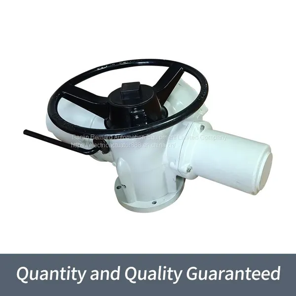 Rotoque Multi Rotary Gate Valve Device IQ35 Industrial Bus Electric Actuator photo-3