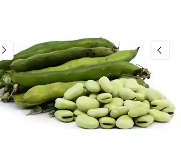 Genyond Factory Industrial Green Bean Pigeon Pea Peeling Equipment Peeling Machine Peeler photo-4