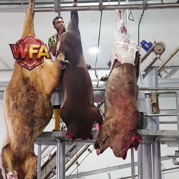 Slaughterhouse for 50 Cows Butchery Machinery Goat Abattoir Equipment Beef Processing Plant ISO 9001 Production Line photo-5