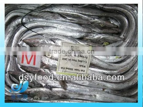 Frozen Iranian Ribbon Fish WR photo-3