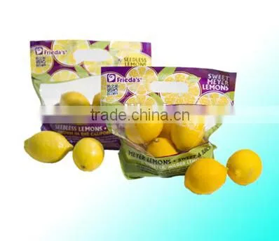 2014 Hot Sell Plastic Snacks Dry Fruit Bag photo-3