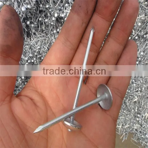 Twisted Shank Galvanized Umbrella Head Roofing Nails photo-5