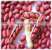Chinese Red Skin Peanut Kernels