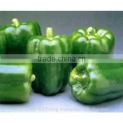 Fresh Bell Pepper India/good Quality Capsicum/farm Fresh Red,yellow,red Capsicum/bell Pepper Exporter in India photo-6