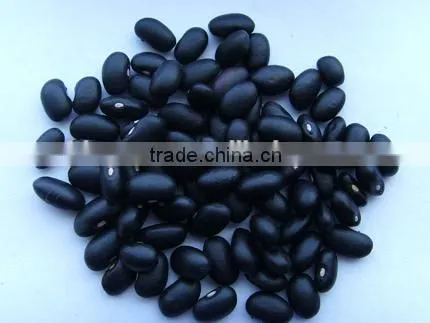 Supply Black Beans With Best Price and Good Quality for Sale photo-5