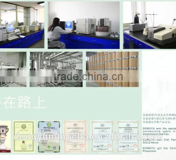 Natural Green Tea Finnings Organic Broken Green Tea for Making Tea Bags photo-6