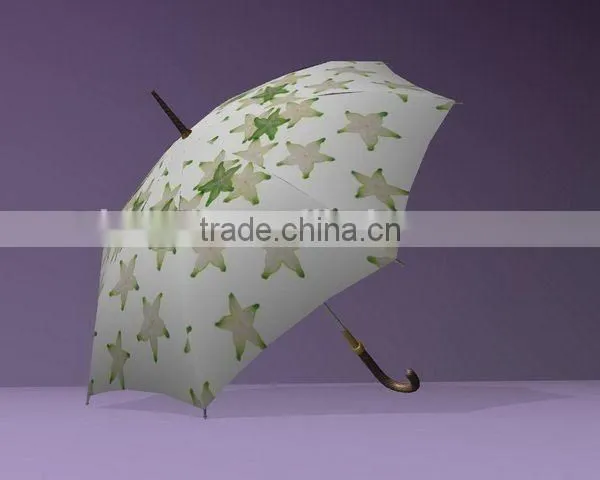 Tyvek Umbrella photo-2