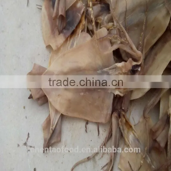 Dried Squids photo-2