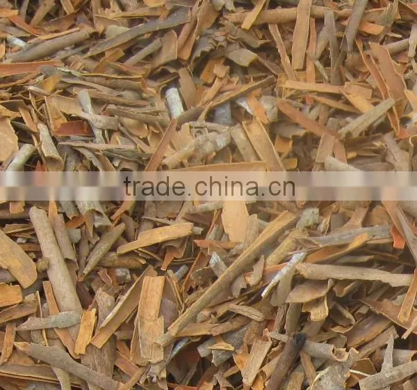 CINNAMON BROKEN photo-2