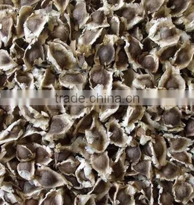 MORINGA SEED FOR AYURVEDIC REMEDY photo-2