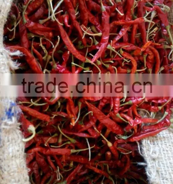 Red Chilli