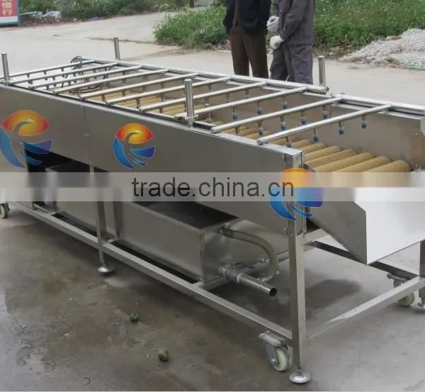 New Condition Commercial Washing Machine Fruit Washing Machine / Vegetable Washing Machine Apple Washer With Brush Rollers photo-3