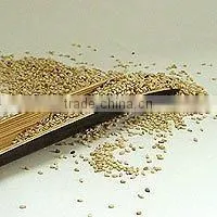 Sesame Seeds
